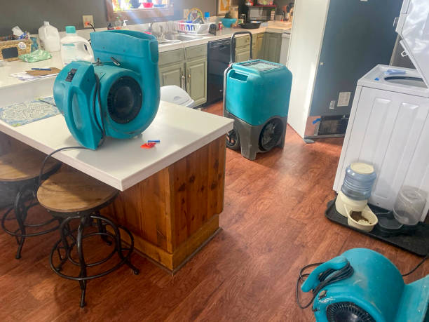 Best Sewage cleanup and water damage restoration  in Aetna Estates, CO