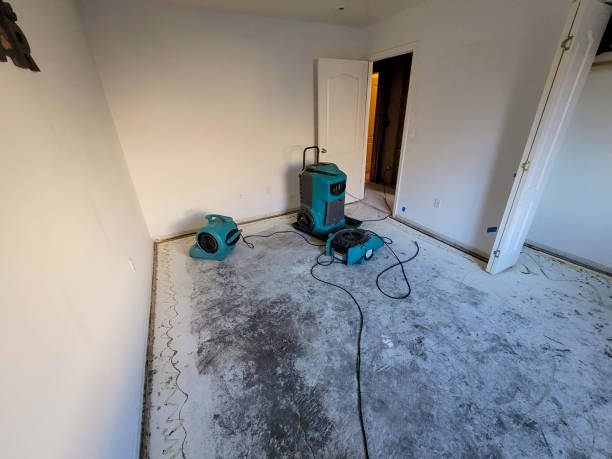 Best Water damage restoration mold remediation  in Aetna Estates, CO