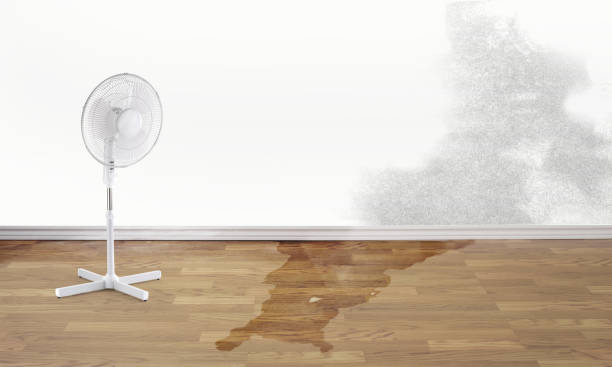 Best Flood restoration services  in Aetna Estates, CO