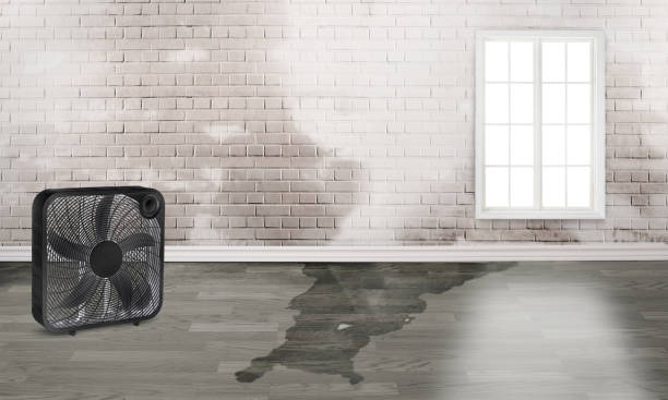 Best Emergency water damage restoration  in Aetna Estates, CO