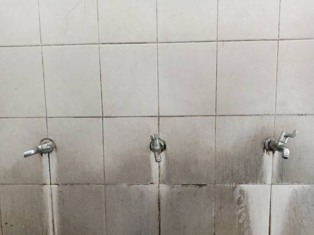 Best Commercial water damage restoration  in Aetna Estates, CO